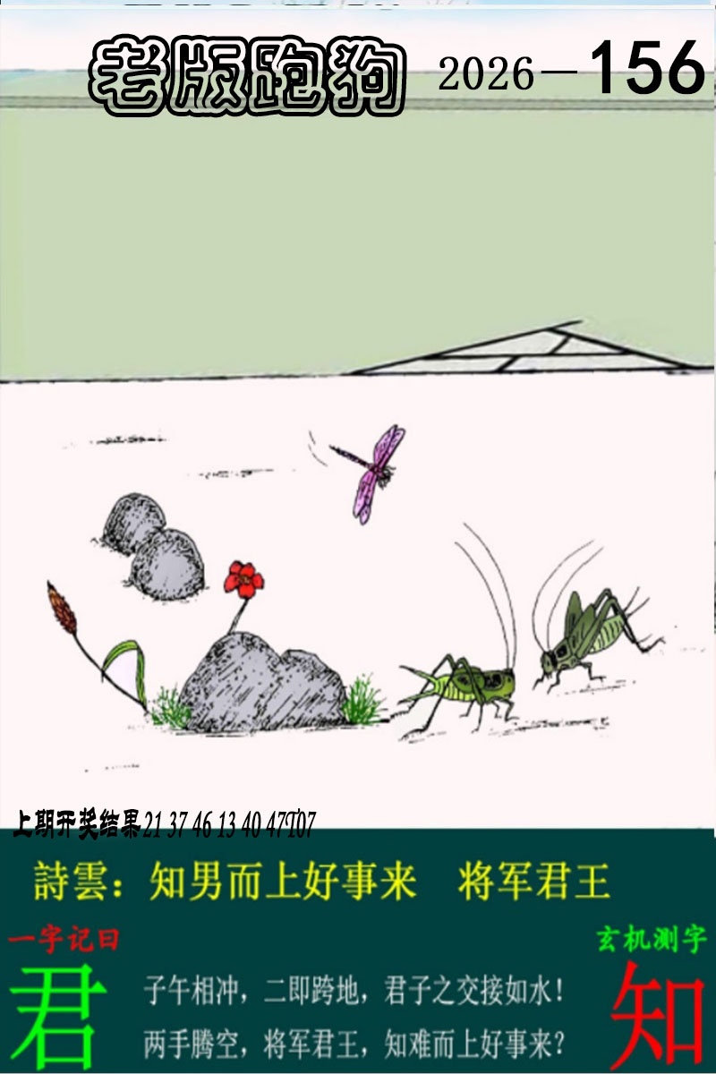 156期老版跑狗图[图]